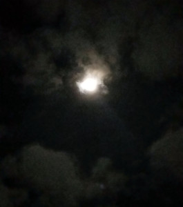 Moon over the woods near Groesbeek (8)edited